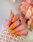 Gel Polish
