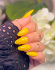 Gel Polish