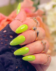 Gel Polish
