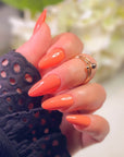 Gel Polish