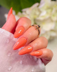 Gel Polish